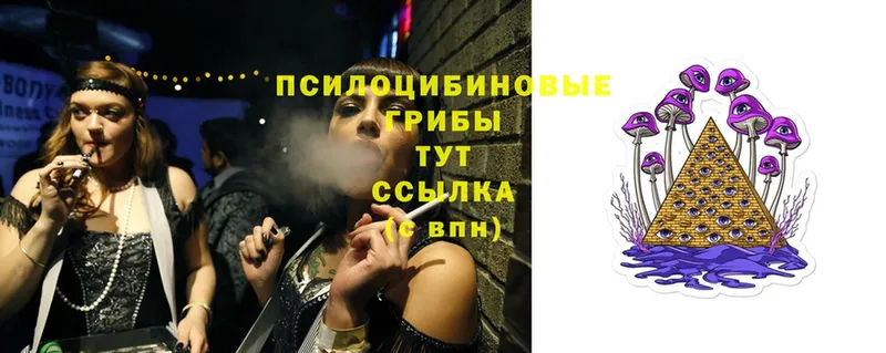 Псилоцибиновые грибы Magic Shrooms  Курск 